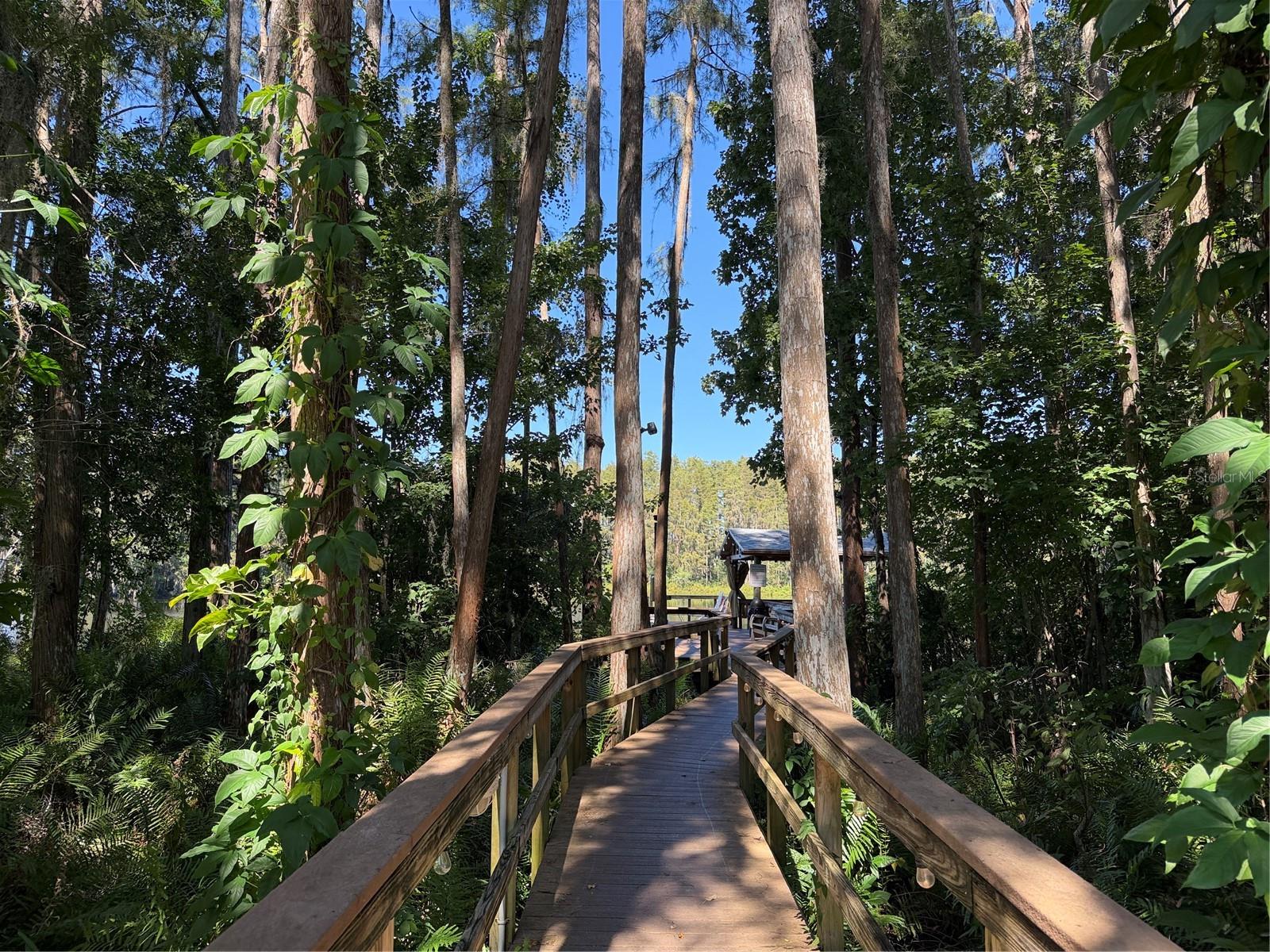 20893 HAULOVER CV #5