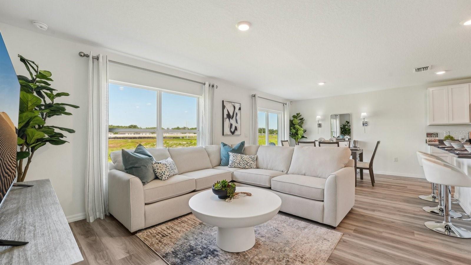 1117 ARROWHEAD VINE CT