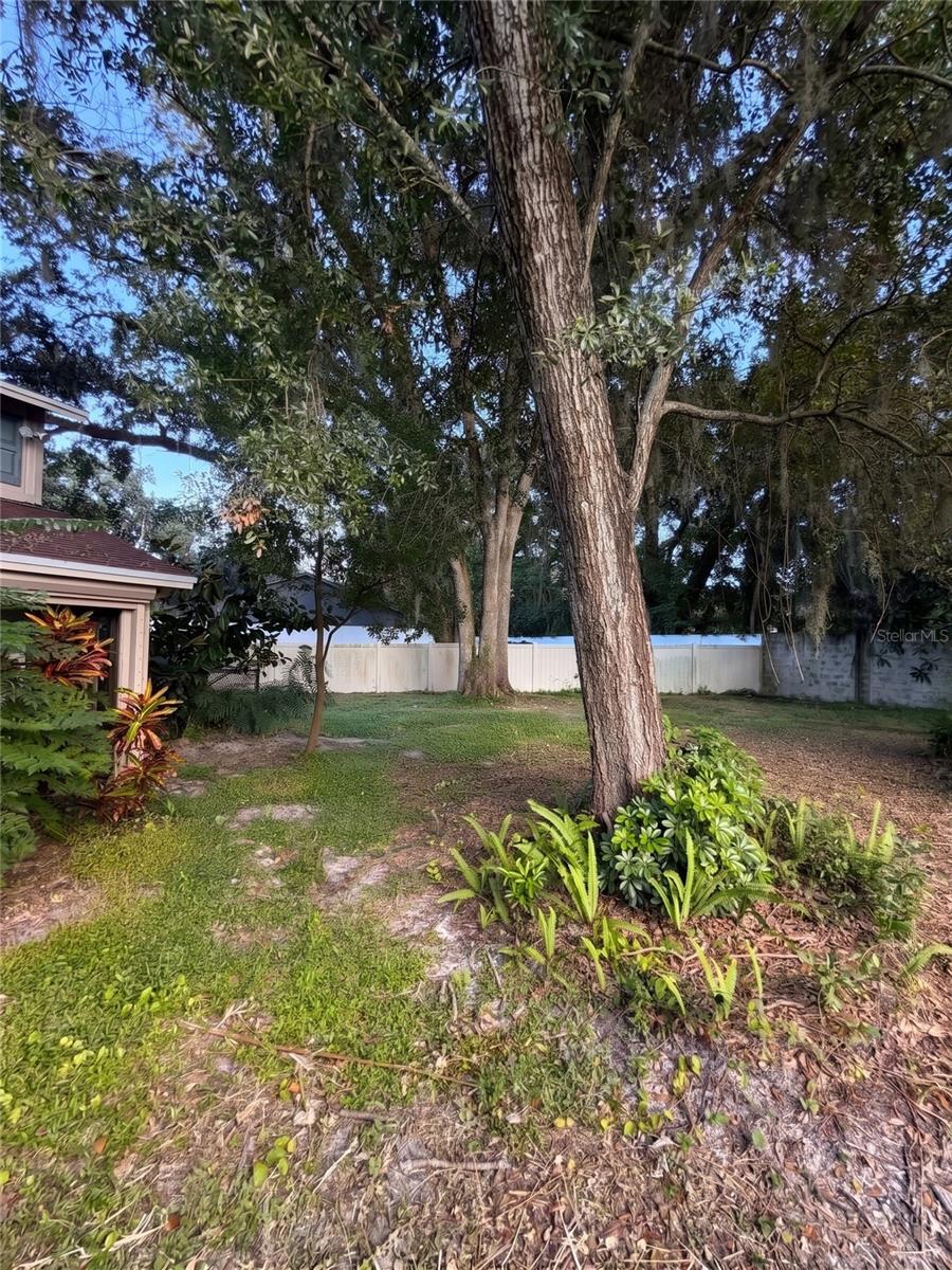 14714 OAK VINE DR