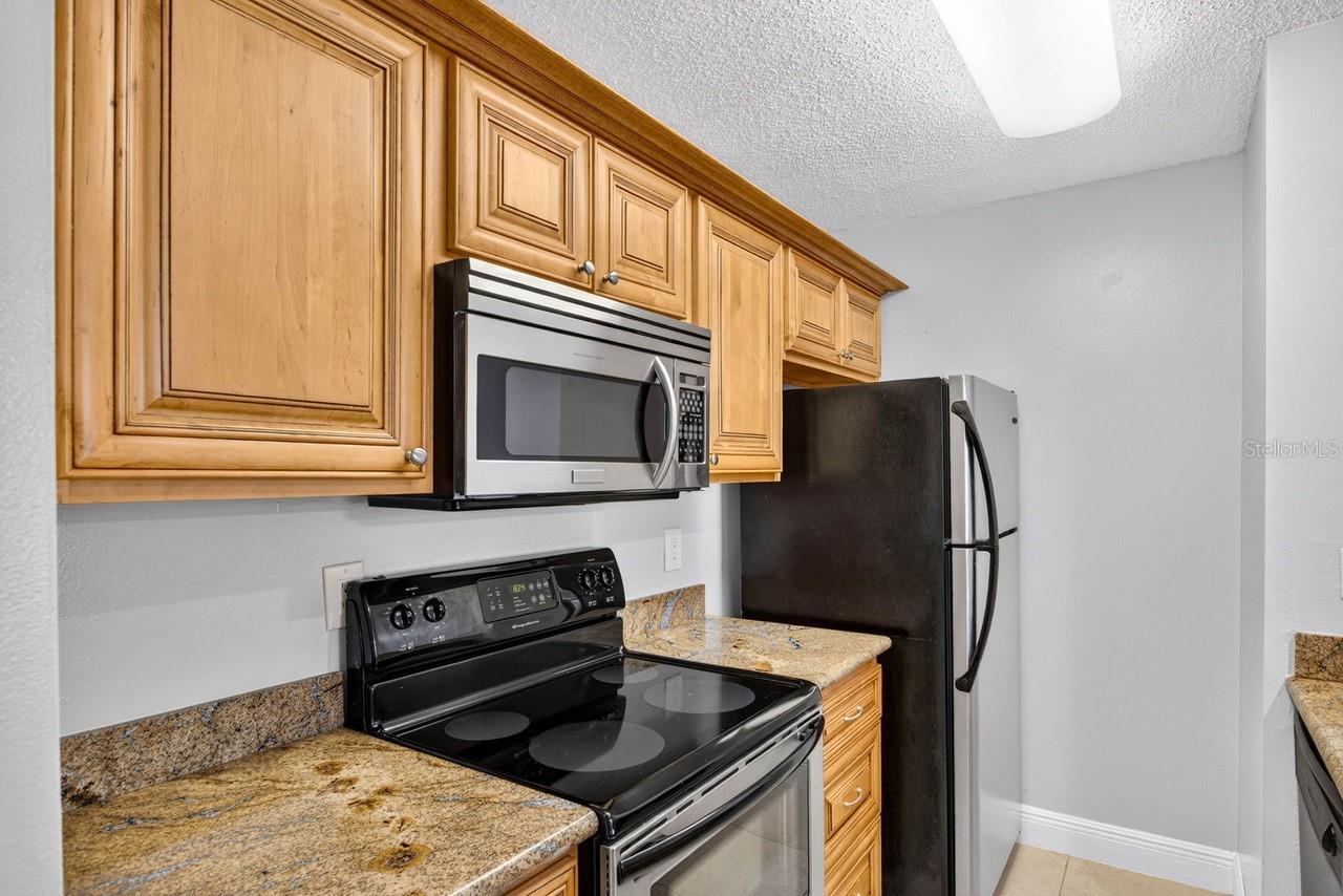 4211 CHATHAM OAK CT #111