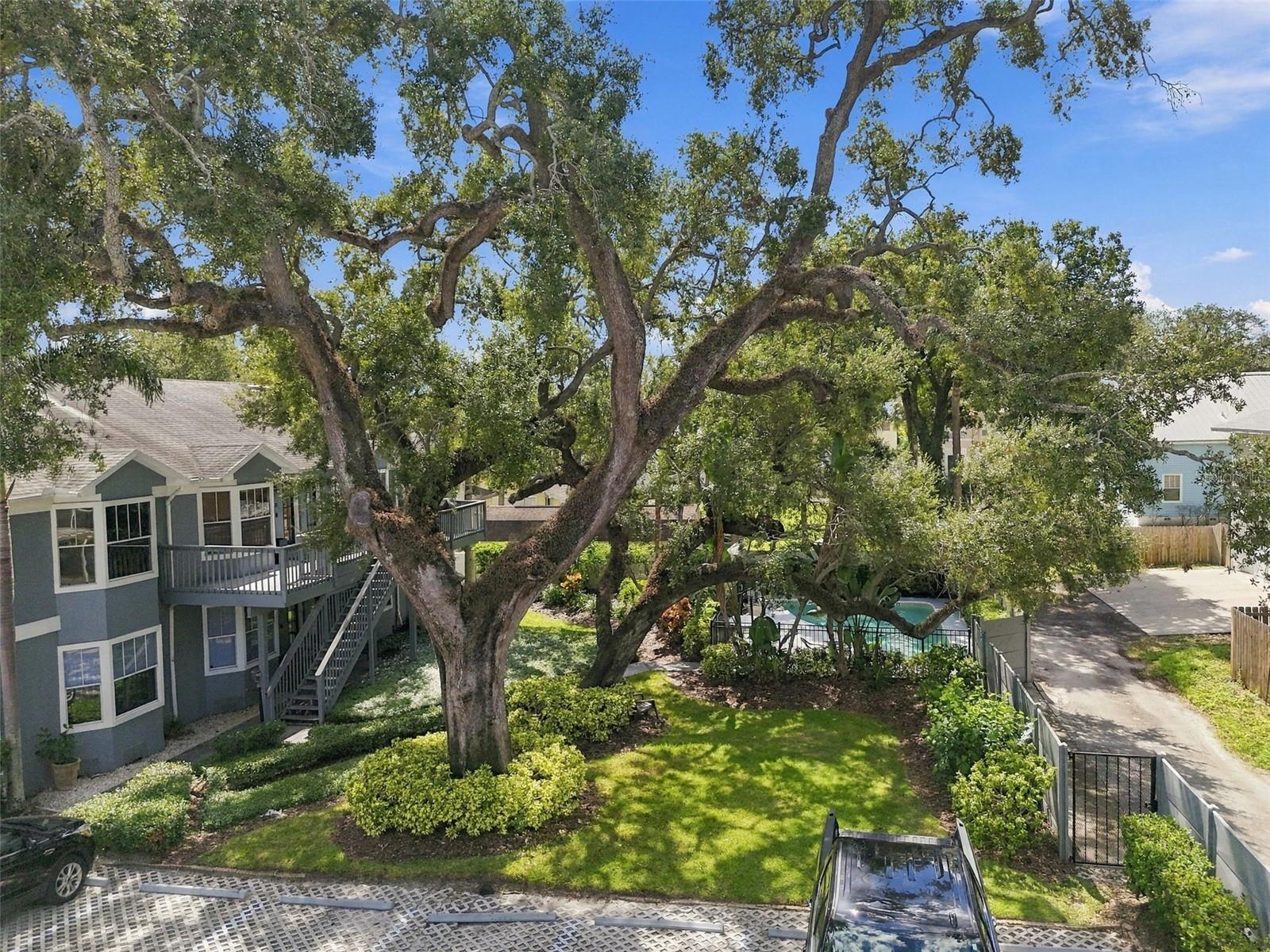 315 S EDISON AVE #8
