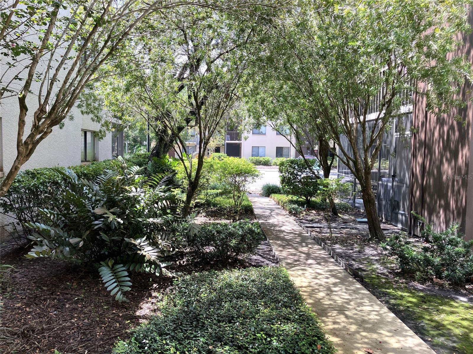 11703 RAINTREE VILLAGE BLVD #B