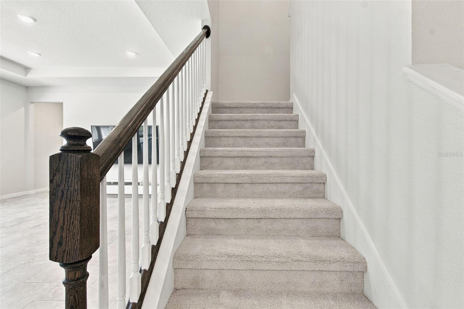 3221 LIVING CORAL DR