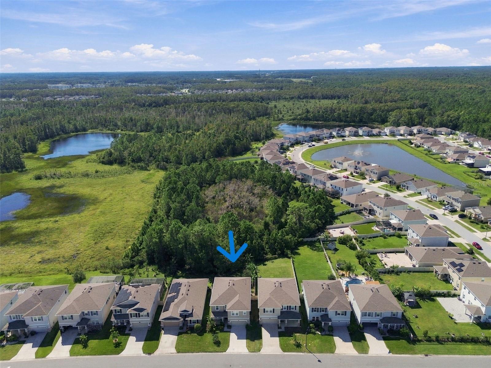 3221 LIVING CORAL DR