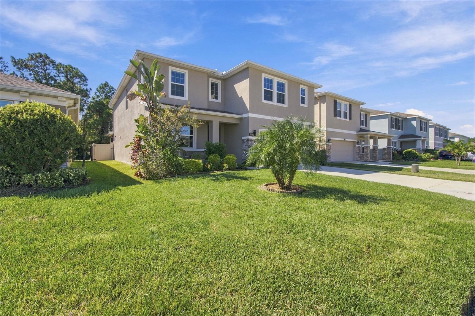 3221 LIVING CORAL DR
