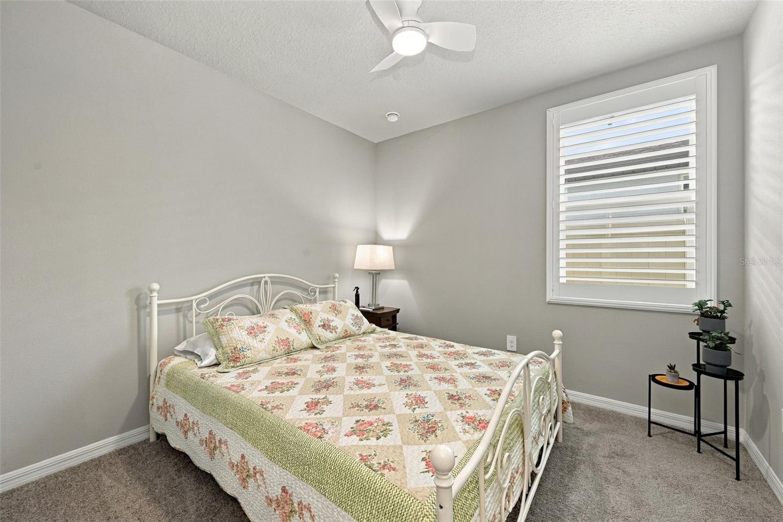 3708 RADIANT MOUNTAIN DR