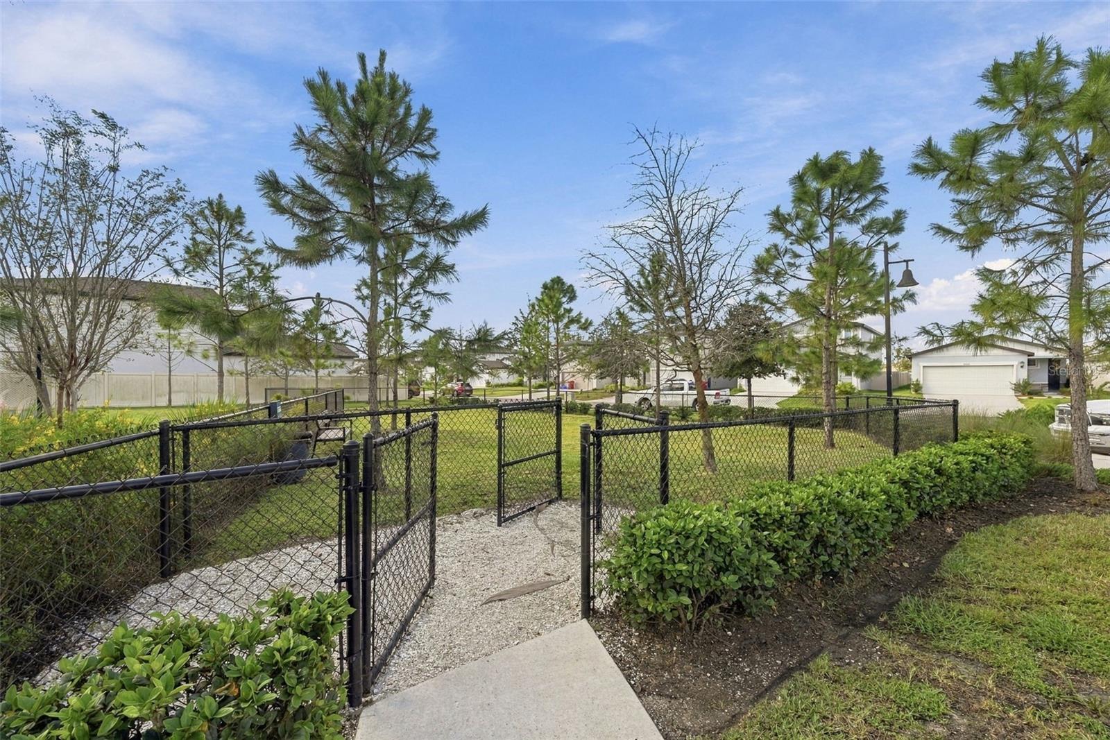 3708 RADIANT MOUNTAIN DR