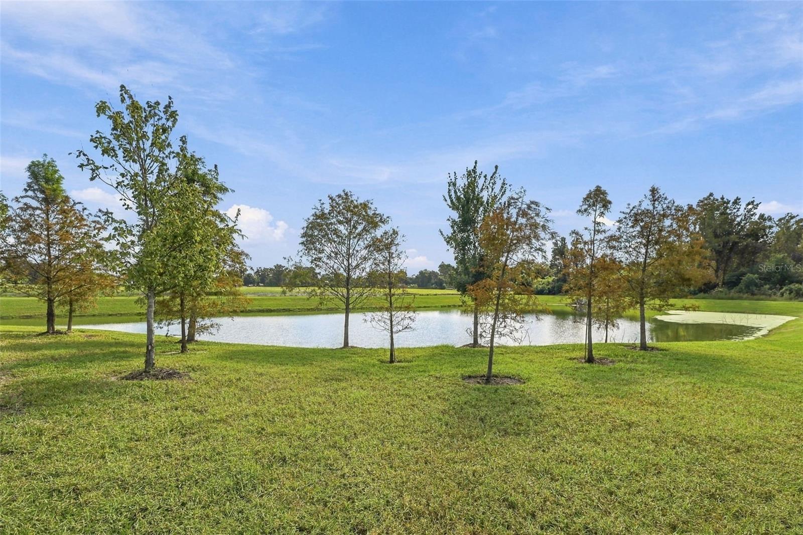 3708 RADIANT MOUNTAIN DR