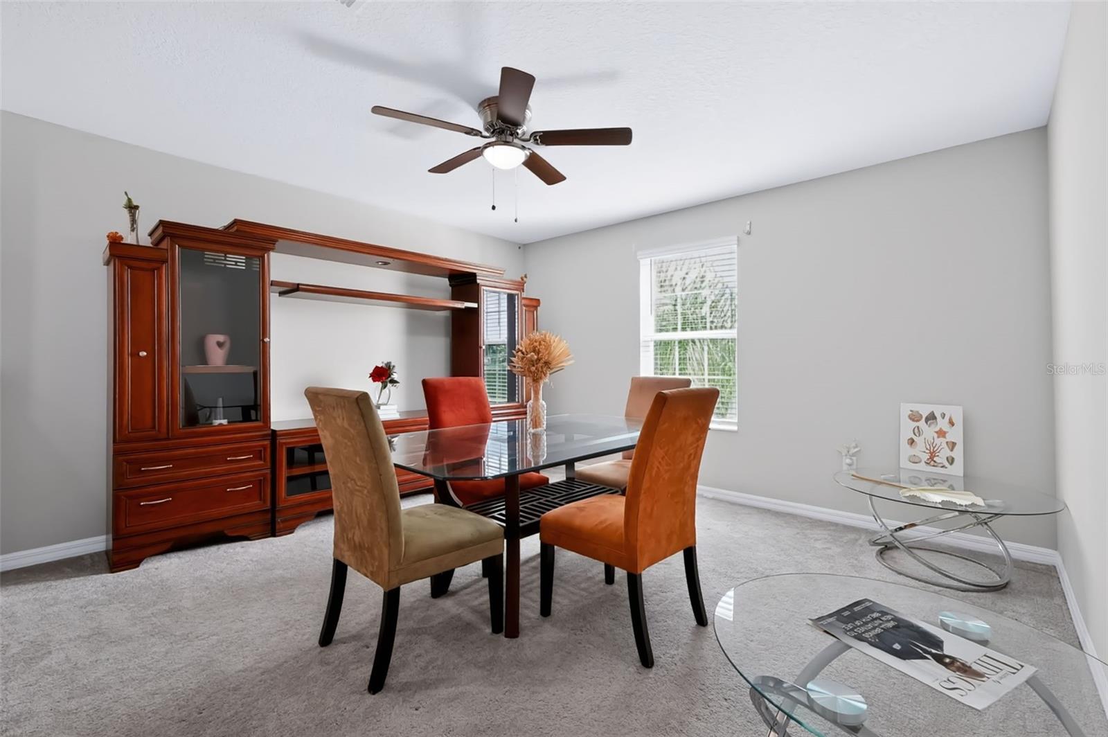 1711 BROAD WINGED HAWK DR