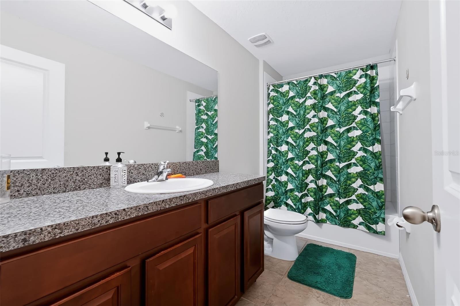 1711 BROAD WINGED HAWK DR